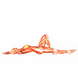 Human Anatomy