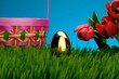 Easter egg in grass