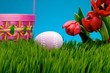 Easter egg in grass