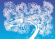 swaying spring blossom tree swaying spring blossom tree