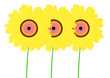three sunflowers three sunflowers