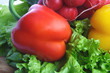 vegetables with salad, radish and pepper on table