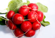 bunch of the radish 