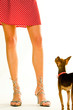 Lady’s legs wearing high-heeled sandals with her doggy