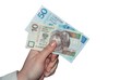 Showing Polish money