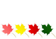 four seasons colors maple leaves