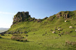 'Castle Ewen' in the Fairy Glen, Isle of Skye