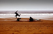 some young surfers play in the sand at sunset