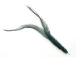 Feather
