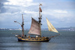 sailing ship in the San Francisco Bay