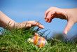 Easter Egg Hunt