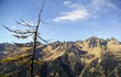 Les aiguilles rouges