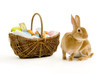 Rabbit next to a basket filled with chocolate easter eggs