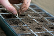 planting a seed