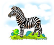 zebra