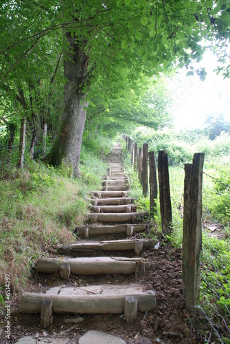 Photo: balade balade