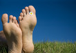Spring relax