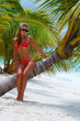 Sexy girl is sitting on palm. Luxury holidays.
