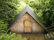 Holzhütte im Wald