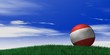 Fussball in der Natur Fussball in der Natur