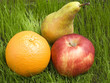 fruits on grass