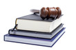 Wooden gavel and law books Wooden gavel and law books