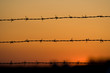 Barbwire at sunset