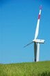 Energia Eolica 