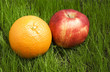 apple and orange on grass