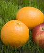 oranges and apple on grass
