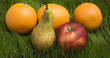 ripe fruits on grass