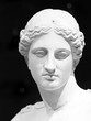 Aphrodite 