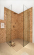 Bathroom and shower interior in modern home