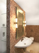 Bathroom interior in modern home