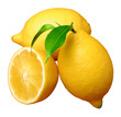 lemon; object on a white background lemon; object on a white background