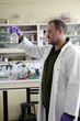 expérience scientifique