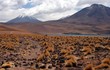 lagune miniques chili