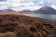 lagune miniques chili