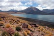 lagune miniques chili