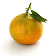 Mandarin with green leaves