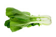 fresh pak Choy