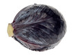 fresh red cabbage