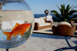 poisson rouge