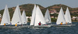 Regatta of small singlehanded sailing boats
