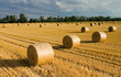 Straw bales Straw bales