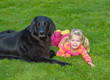 Kind mit Hund