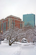 Boston Winter..