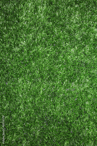 Grass