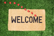 Toy ladybirds on a welcome mat