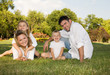 family at the park